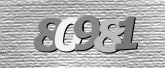 Captcha resmi