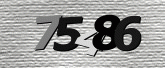 Captcha resmi