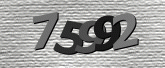 Captcha resmi