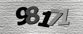 Captcha resmi