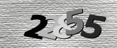 Captcha resmi