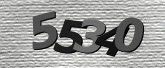 Captcha resmi