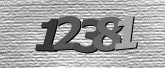 Captcha resmi