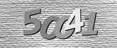 Captcha resmi