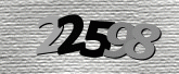 Captcha resmi