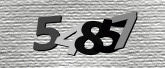 Captcha resmi