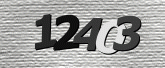 Captcha resmi