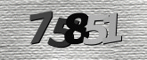 Captcha resmi