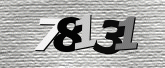 Captcha resmi